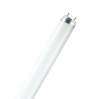 Лампа люмінесцентна OSRAM NATURA L30W/76 G13