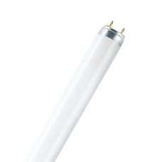 Лампа люмінесцентна OSRAM NATURA L36W/76 G13
