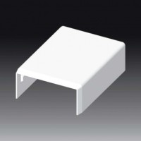 Заглушка 50x20 LH Kopos