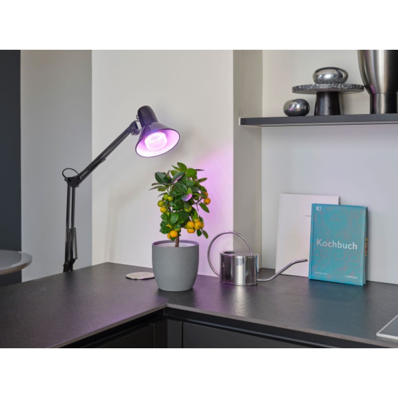 Лампа LED Osram T60 GROW 10W 230V CL E27