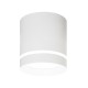 Світильник світлодіодний Maxus Surface Downlight 12W 4100K White